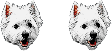 Nadruk Westie West Highland White Terrier - Przód