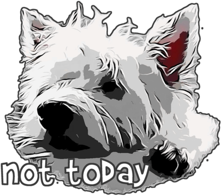 Nadruk Męska Westie West Highland White Terrier 6 Nie dzisiaj- Not today - Przód